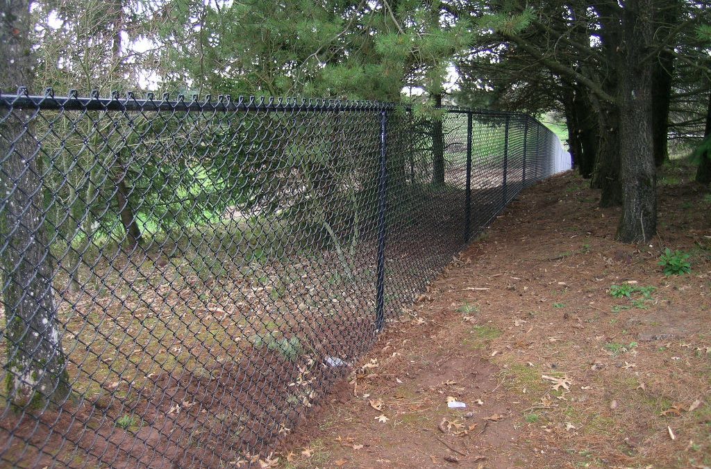 Chain Link / Hog Wire Fences